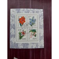 Блок марок СССР 1971. Цветы