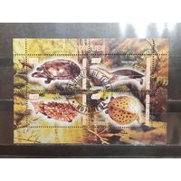 Чад. 2011 год. Фауна. Рептилии. Черепахи (1108)