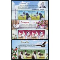 Беларусь 2011. Фауна. Голуби. Верхняя сцепка листа