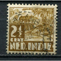 Нидерландская Индия - 1934 - Буйвол на рисовом поле 2 1/2С - [Mi.207] - 1 марка. Гашеная.  (Лот 49Gu)-T4P3