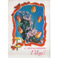 Чистая открытка 1976г. "1 Мая. Тюльпаны и ветви цветущей яблони" фото Г. Костенко, худ. С. Оксман