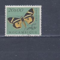 [704] Португальский Мозамбик 1953. Фауна.Бабочка.20 э. Концовка серии. Гашеная марка.