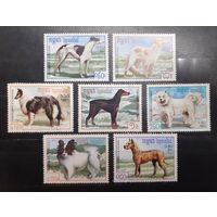 Камбоджа. 1987 год. Фауна. Собаки (565)