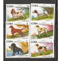 ФФ1 Куба 1976 Собаки