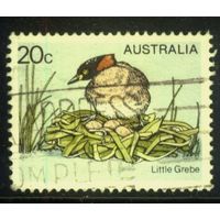 Австралия - 1978 [Mi. 655] Гашеная (AU18)