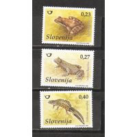 ФФ1 Словения 2008 Лягушки