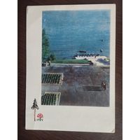 Нарач. Набережная каля санатория Белкаапсаюза. Чистая. 1965.