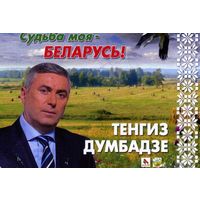 Календарик Выборы 2020,