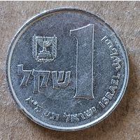 Израиль 1 шекель, (5741) 1981 г., KM# 111