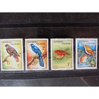 МАДАГАСКАР. 1963.Птицы