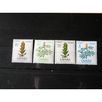 Испанская Сахара 1967, Цветы