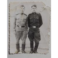 Фото в коллекцию