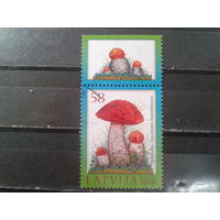 Латвия, 2008. Подосиновик с купоном грибы
