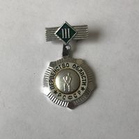 Первенство области РСФСР хоккей с мячом