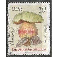 ГДР. Сатанинский гриб. 1974г. Mi#1934.
