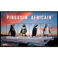 2014 Того 6220-6223KL Птицы - Пингвины 9,60 евро