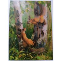 Белки. Юлия Неприятель. Авторская открытка, глянец