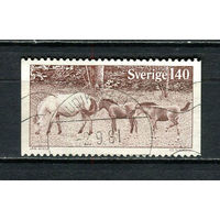 Швеция - 1977 - Готландский пони 1,40Kr - [Mi.993] - 1 марка. Гашеная.  (Лот Gx48)-T3P27