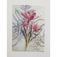 Открытка С праздником 8 Марта. Фото И.Дергилева 1971 г. Чистая