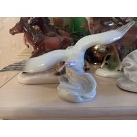 С РУБЛЯ! Альбатрос МФФЗ