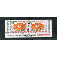 Беларусь 2016.. Гастрономия. Колдуны. РСС. Нижняя сцепка листа