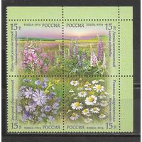 ФФ1 Россия 2014 Цветы