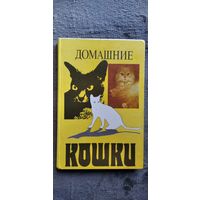 Домашние кошки