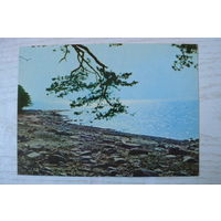 Прибалтика, Латвийская ССР, Море у Скулте; чистая.