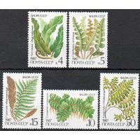 Папоротники СССР 1987 год (5846-5850) серия из 5 марок