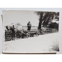 Фото в деревне