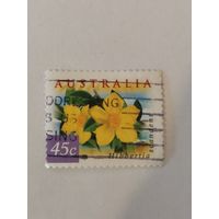 Марка из серии "Цветы Австралии" - Hibbertia scandens