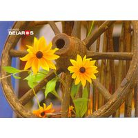 Планета Беларусь, Красота - в простых вещах, 2019, тираж 1000