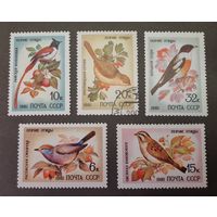 СССР. 1981 год. Певчие птицы. Фауна. 5 марок