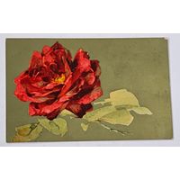 До 1917 года   Открытка