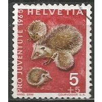 Швейцария. Ёжики. 1965г. Mi#826.