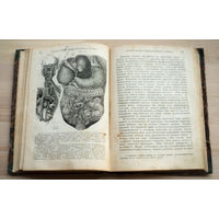 1875г. Человеческое тело, его строение.   К.Бок.