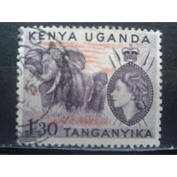 Кения Уганда Танганьика, 1954. Слоны и королева