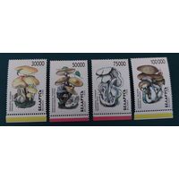Беларусь 1999 Грибы