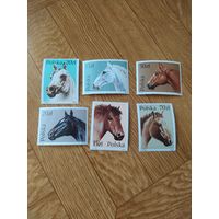 Польша серия марок 1989 г лошади.