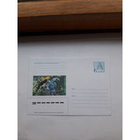 ХМК Беларусь 2002 Иволга