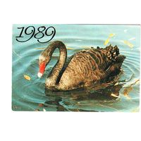 Календарик 1989 Фото В. Бобкова