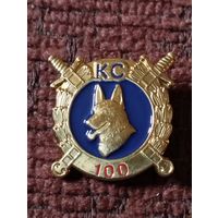 Кинологической службе 100 лет.
