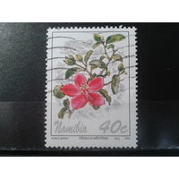 Намибия, 1994. Гибискус