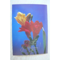 Цупров В., 8 марта, 1986, чистая.