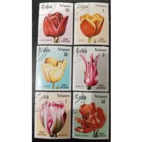Куба 1982. Флора. Тюльпаны. Полная серия