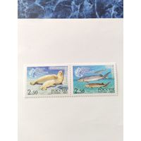 Россия 2003 2 м сц.  каспийская нерпа