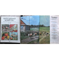 Журнал Приусадебное хозяйство номер 4,6 1985 номера 1,2,4,5,6 1986 номер 1,3,5 1987 номера 1,5,6 1988 номера 2,3,5,6 1989