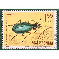 Румыния 1964. Жуки. Fabricii Malachiticus
