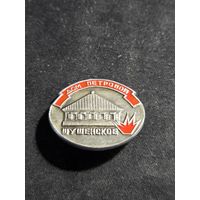 Значок дом петровой шушенское