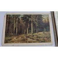Почтовая карточка 1952г.